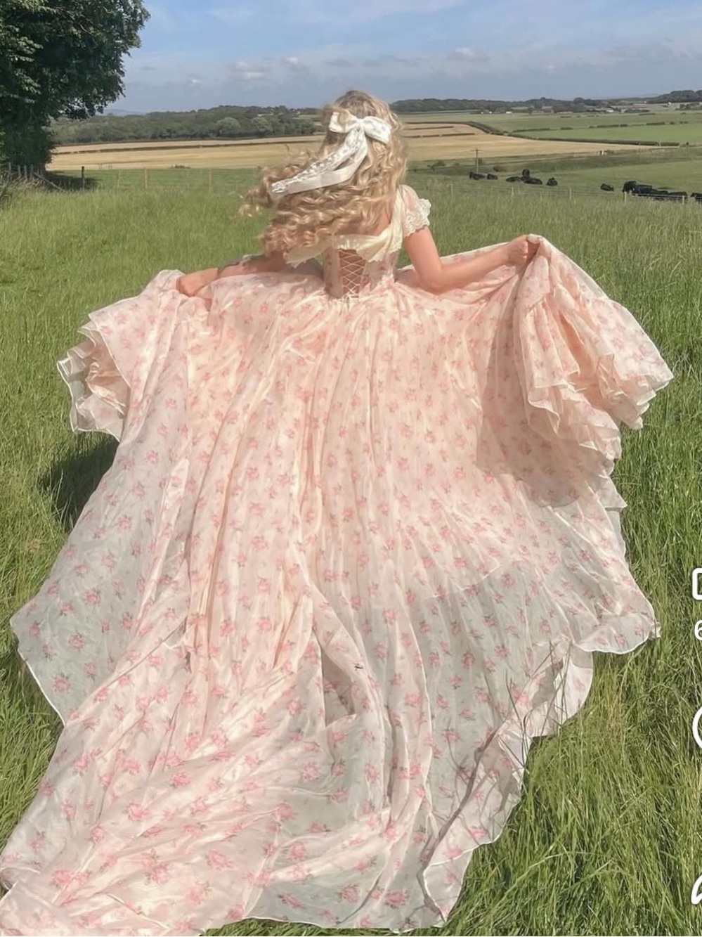 Lacemade Princess Sissi Maxi Dress - Picture 2 of 9